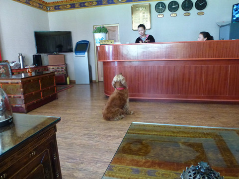 拉萨八朗学酒店（八廓街店）主图