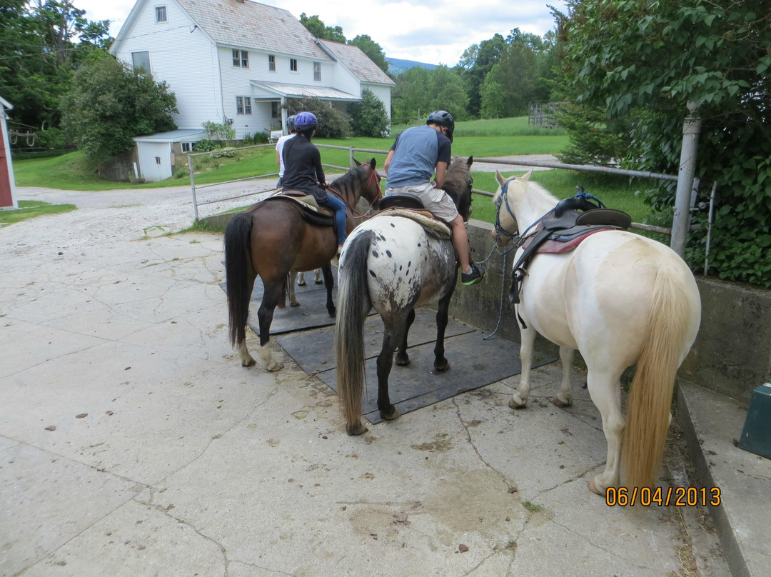 Mountain View Ranch-Danby必去景点