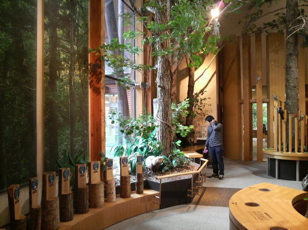 Shikotsuko Visitor Center-千岁市必去景点