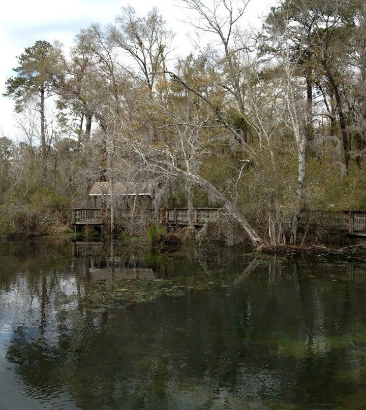 Magnolia Springs Park-Millen必去景点