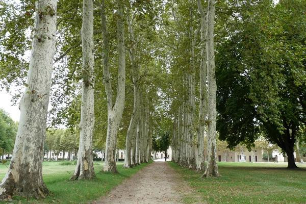 Abbaye de Sorèze-Soreze必去景点