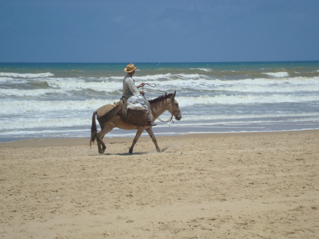 Praia Pirambu景点图片