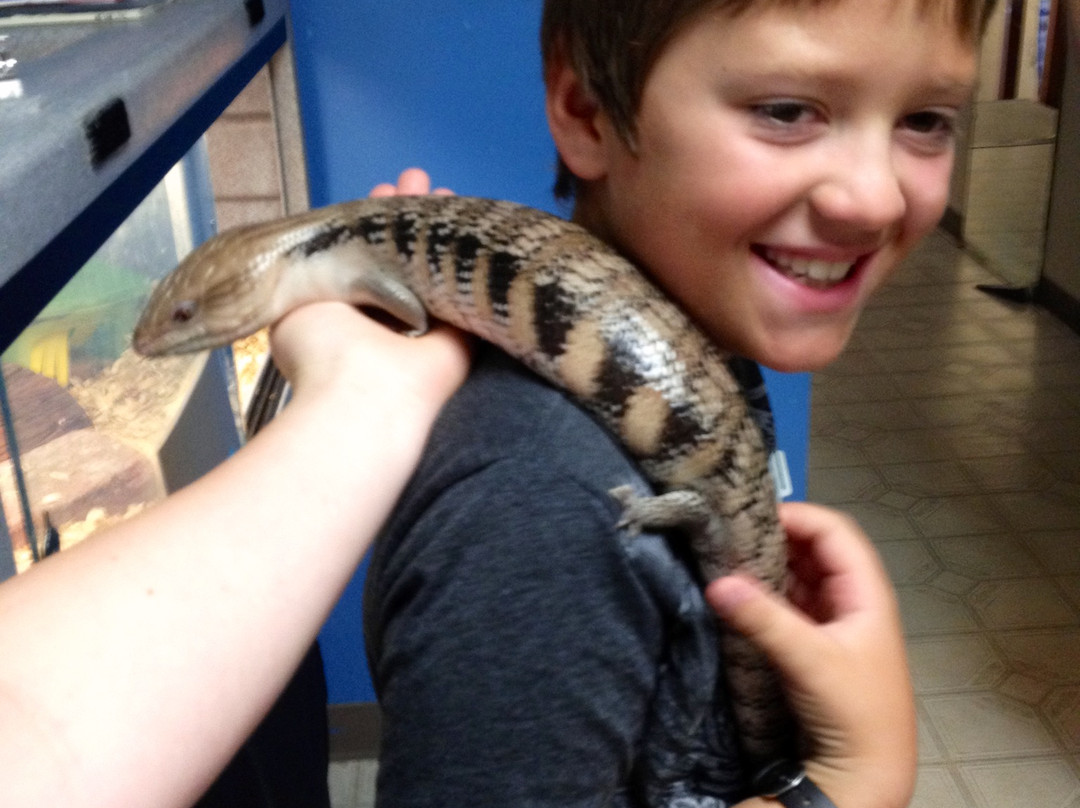 Explorit Science Center-戴维斯必去景点