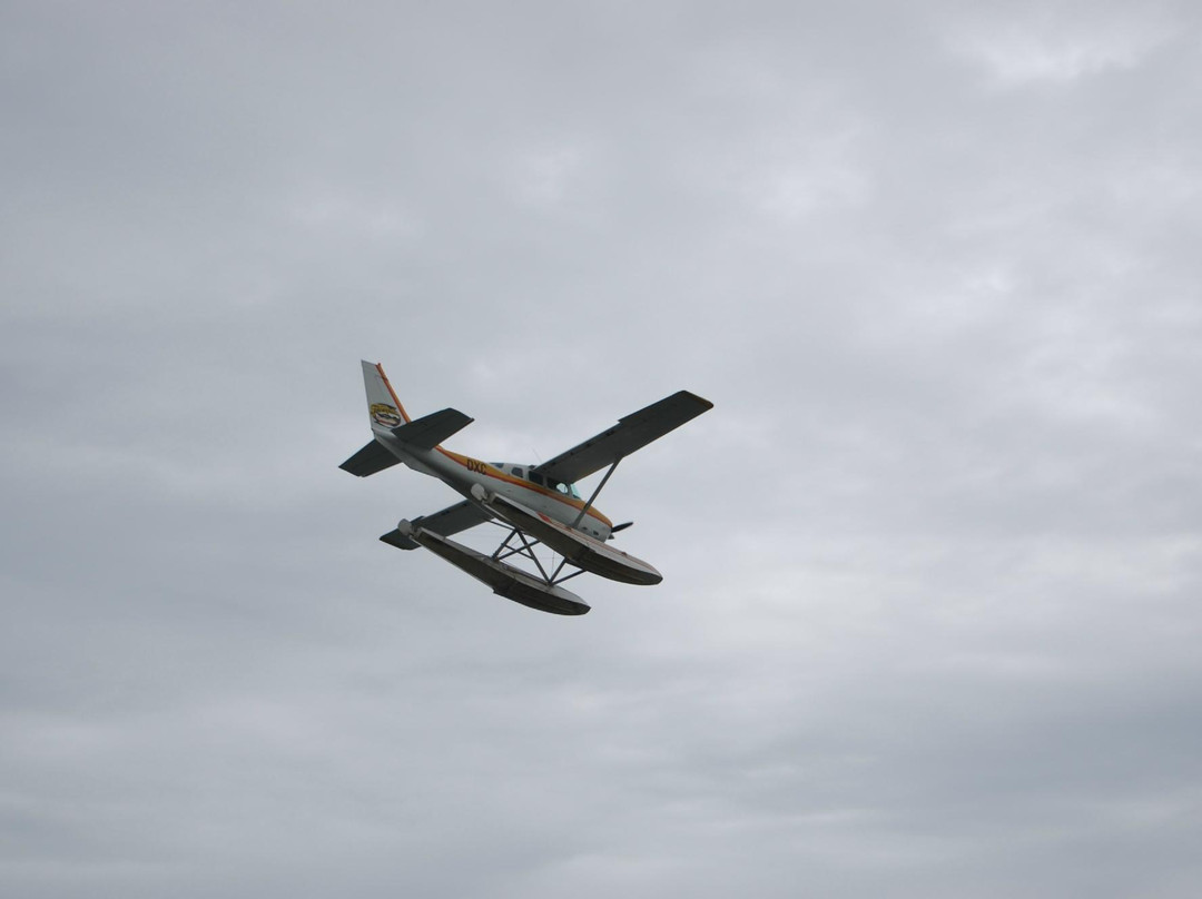 Taupo's Floatplane-陶波必去景点