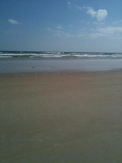 Pure Life Surf School-Daytona Beach Shores必去景点