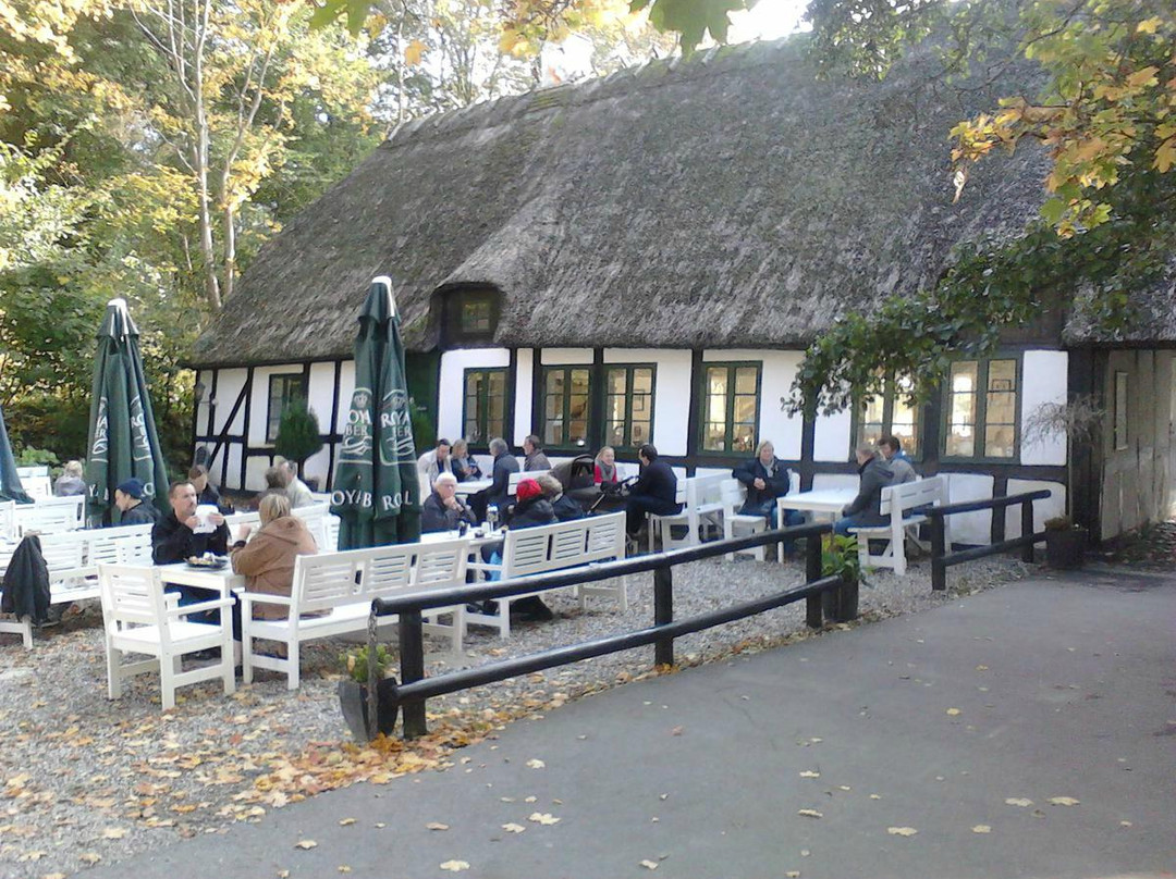 Moesgard Forrest-欧胡斯必去景点