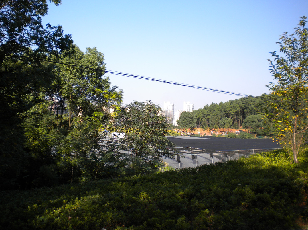 湖南森林植物园-长沙市必去景点