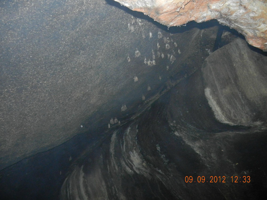 Bats' Cave Temple景点图片