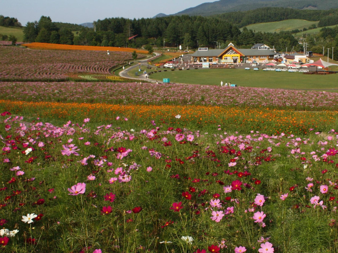 Engaru sun hills park-远轻町必去景点