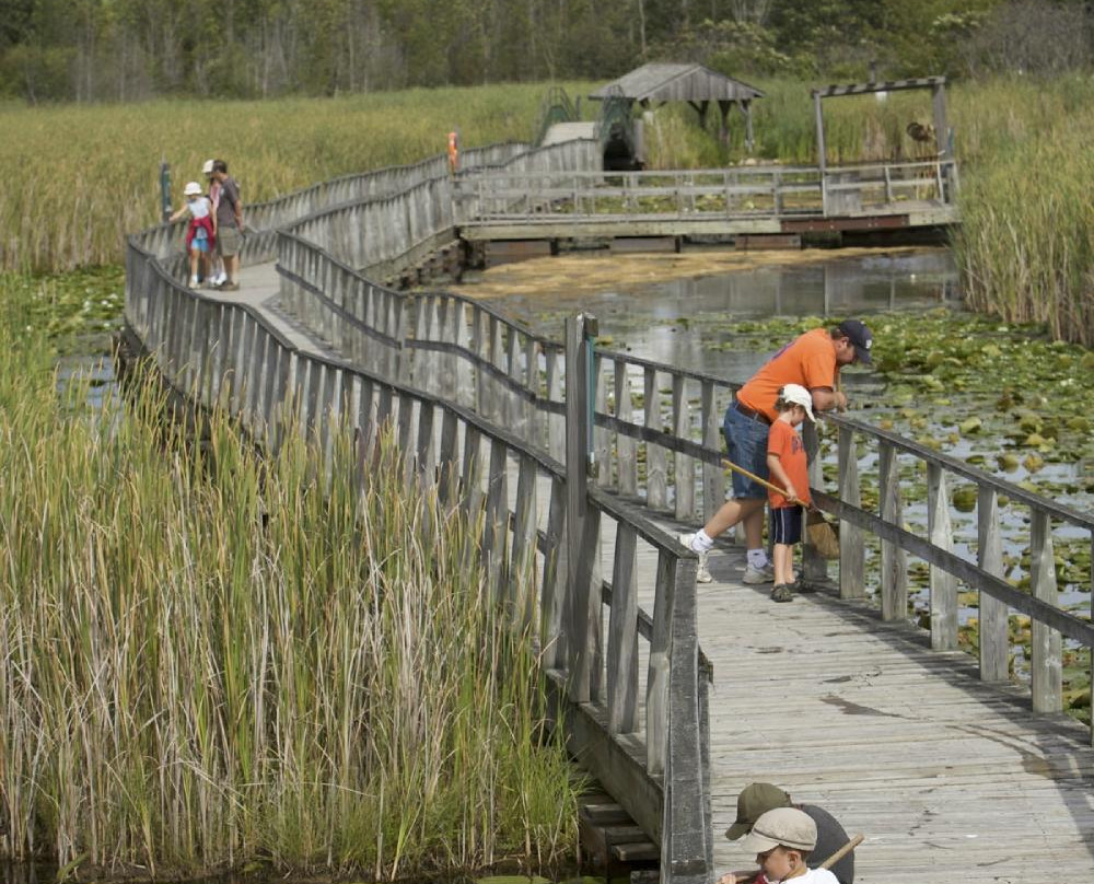 Wye Marsh Wildlife Centre-Midland必去景点