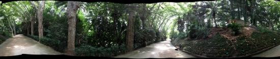 Jardin Botanico Historico La Concepcion景点图片