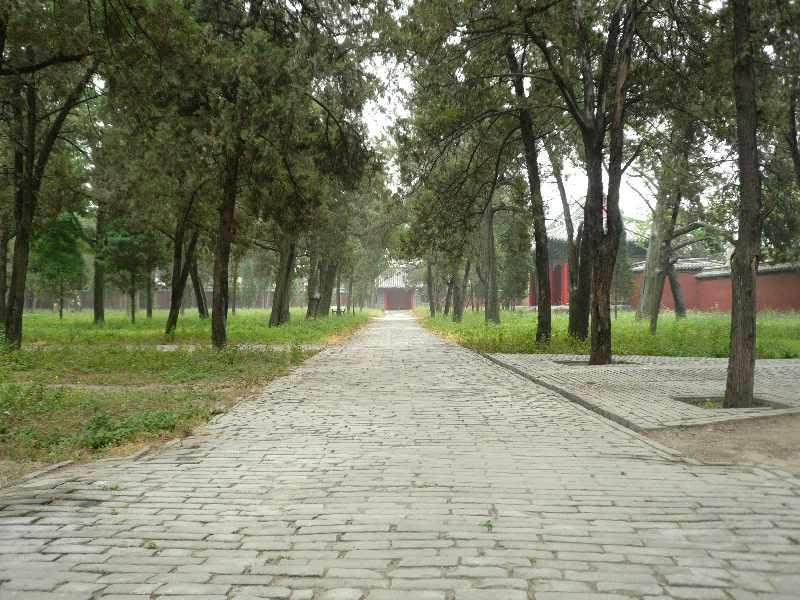 曲阜颜庙-曲阜市必去景点