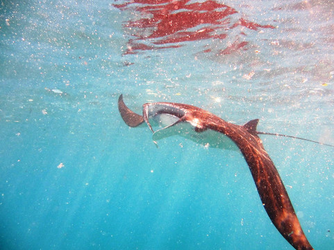 Bali Bubbles Dive Center-甘地达萨必去景点