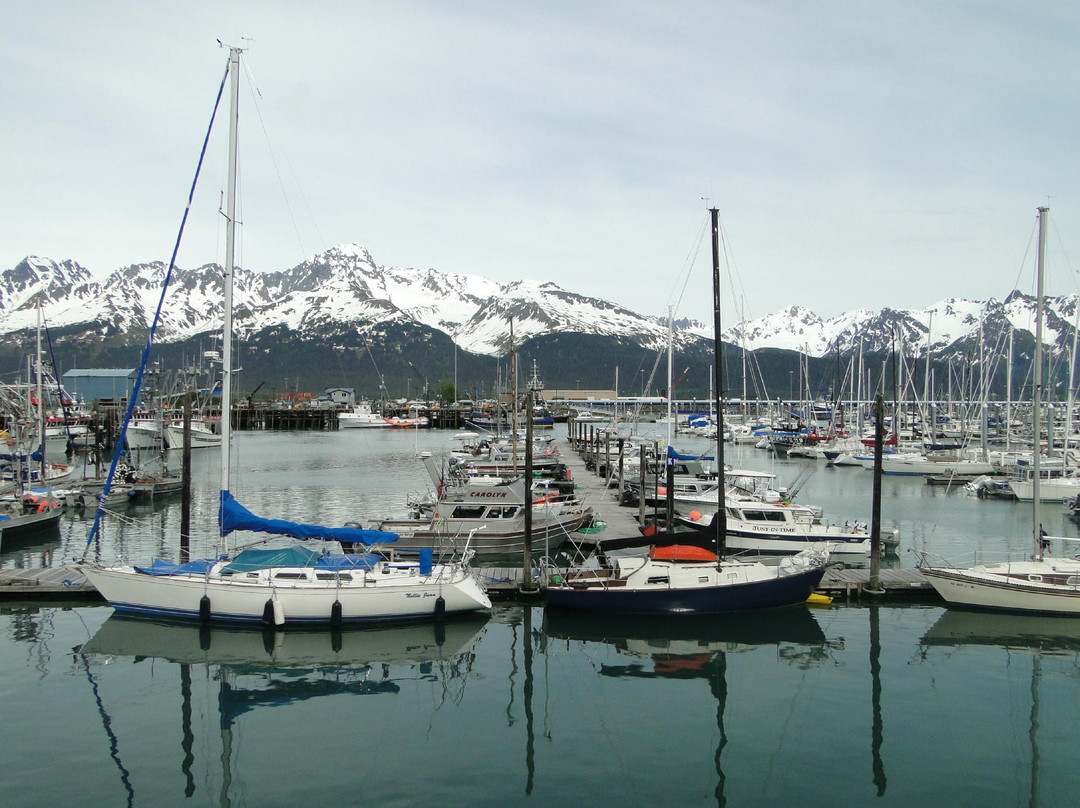 Seward Boat Harbor-苏厄德必去景点