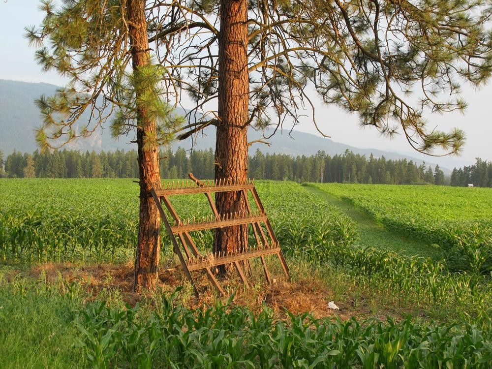 Schubert Estate Bed & Breakfast主图