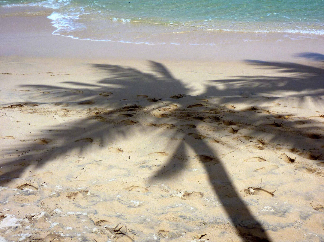 懒人蜥蜴酒店主图