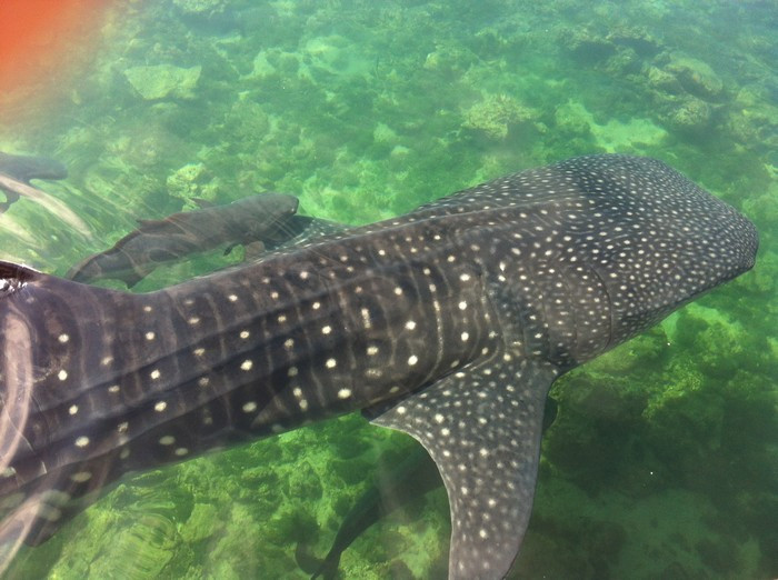 万宁陵水分界洲岛-陵水黎族自治县必去景点