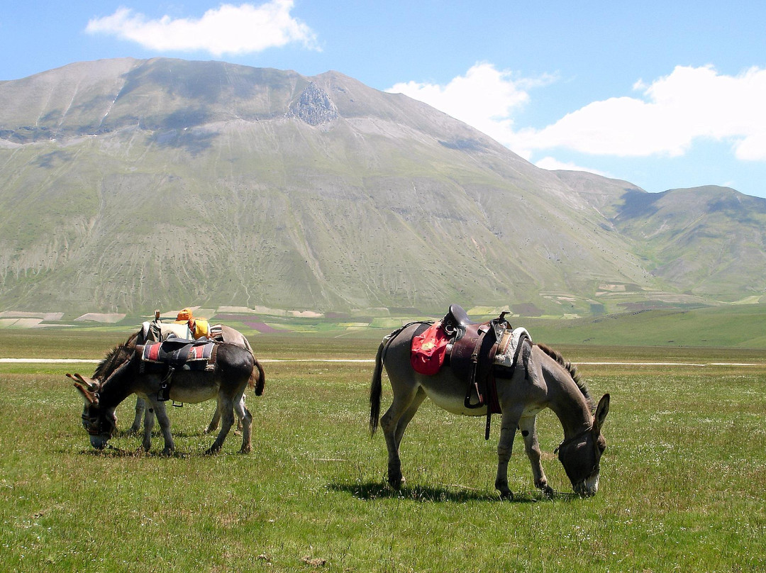 La Mulattiera-诺尔恰必去景点