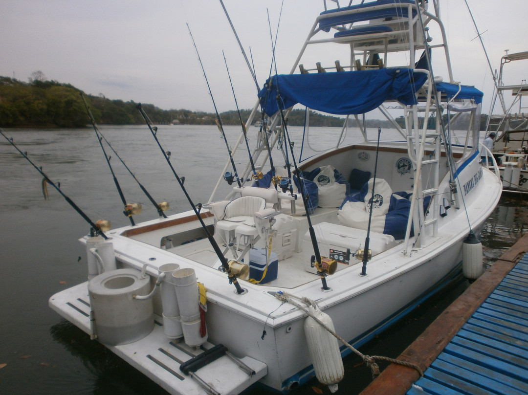 Panama Big Game Fishing Club Day Tours景点图片