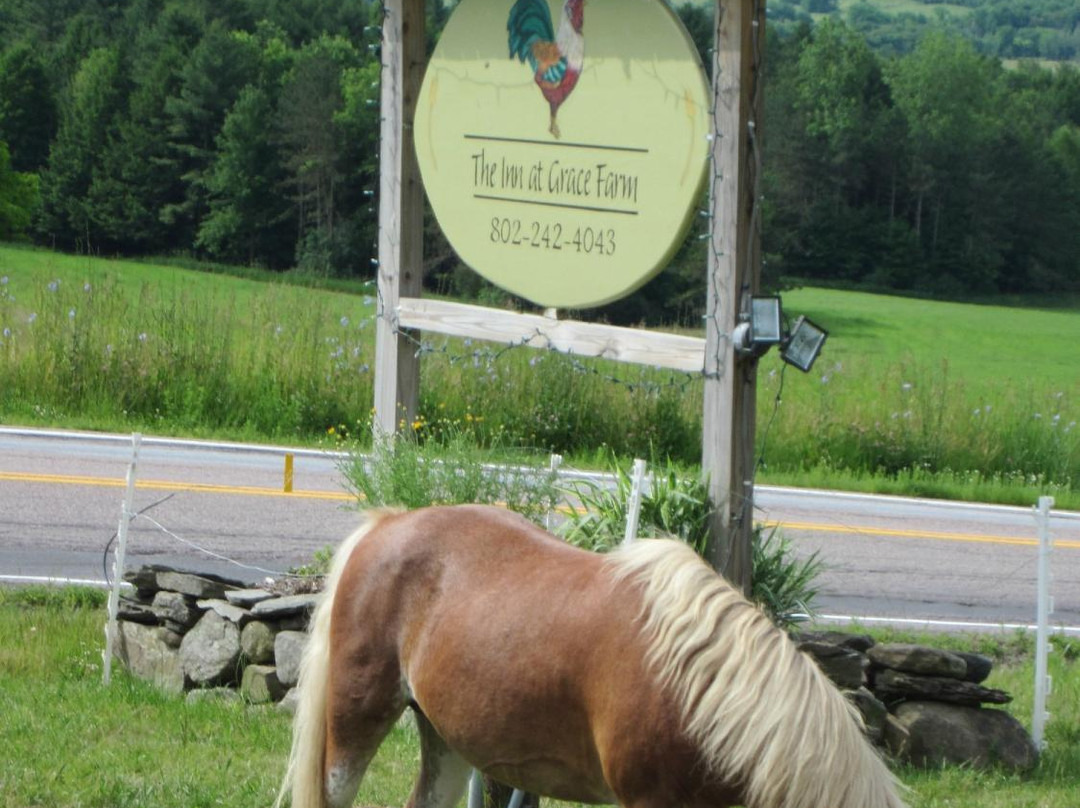 The Inn At Grace Farm B&B主图