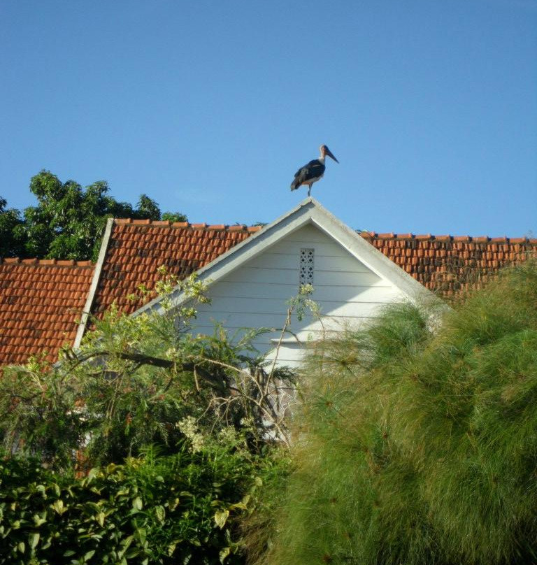 Bunga Leisure Gardens主图