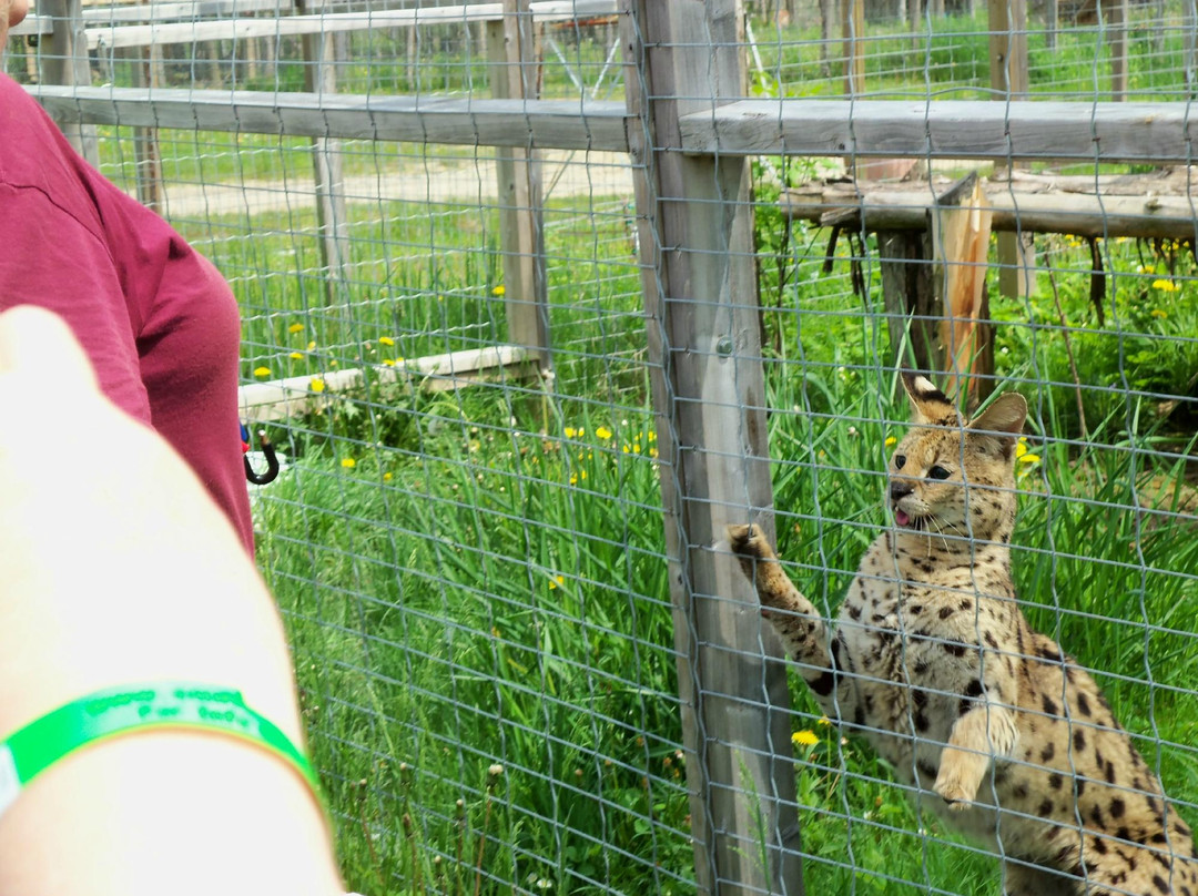 Saunders Country Critters Zoo-North Grenville必去景点