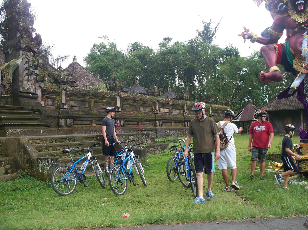 Bali 2000 Cycling - Day Tours景点图片