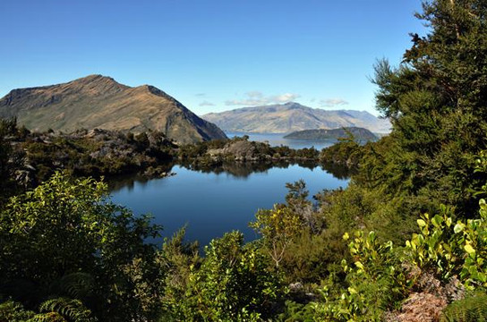 瓦纳卡生态之旅-瓦纳卡必去景点