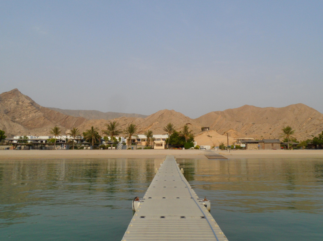 Oman Dive Center-马斯喀特必去景点