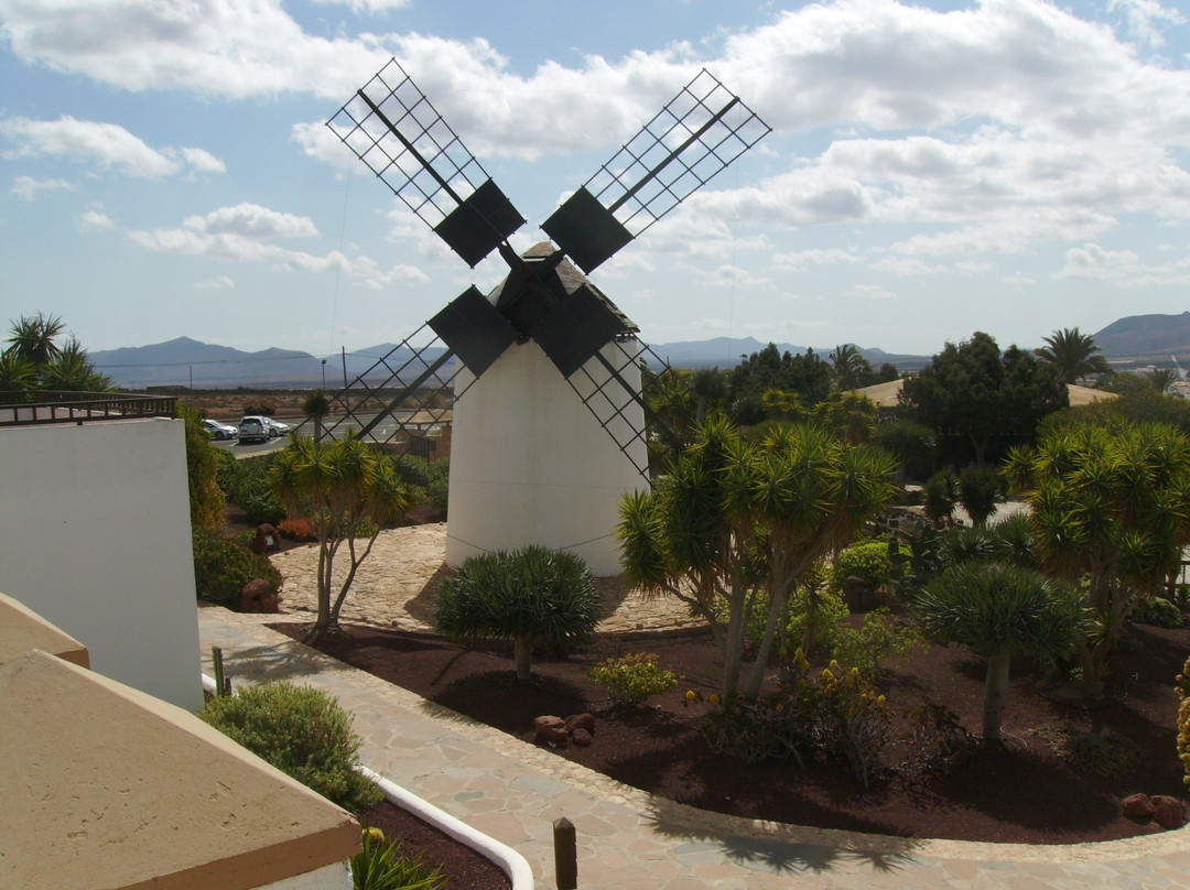 Molino de Antigua - Museo del Queso Majorero景点图片