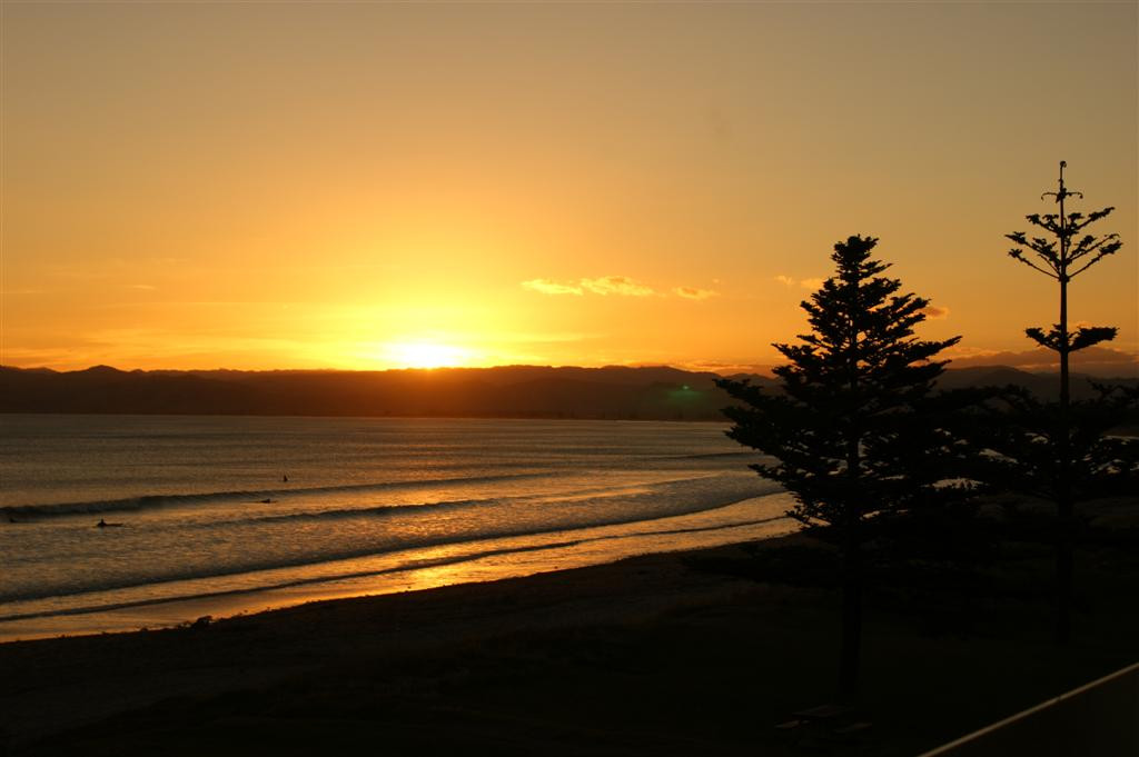 Waverley Apartments