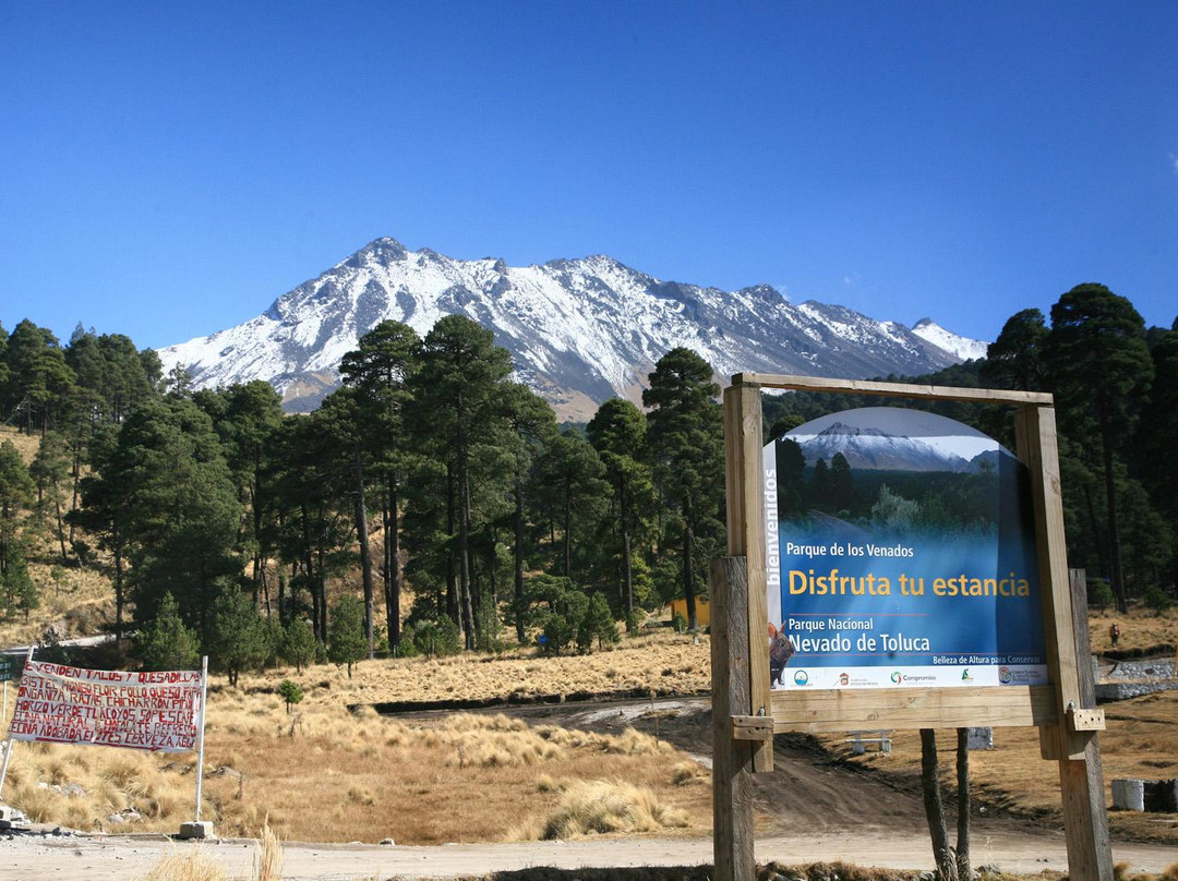 Nevado de Toluca景点图片
