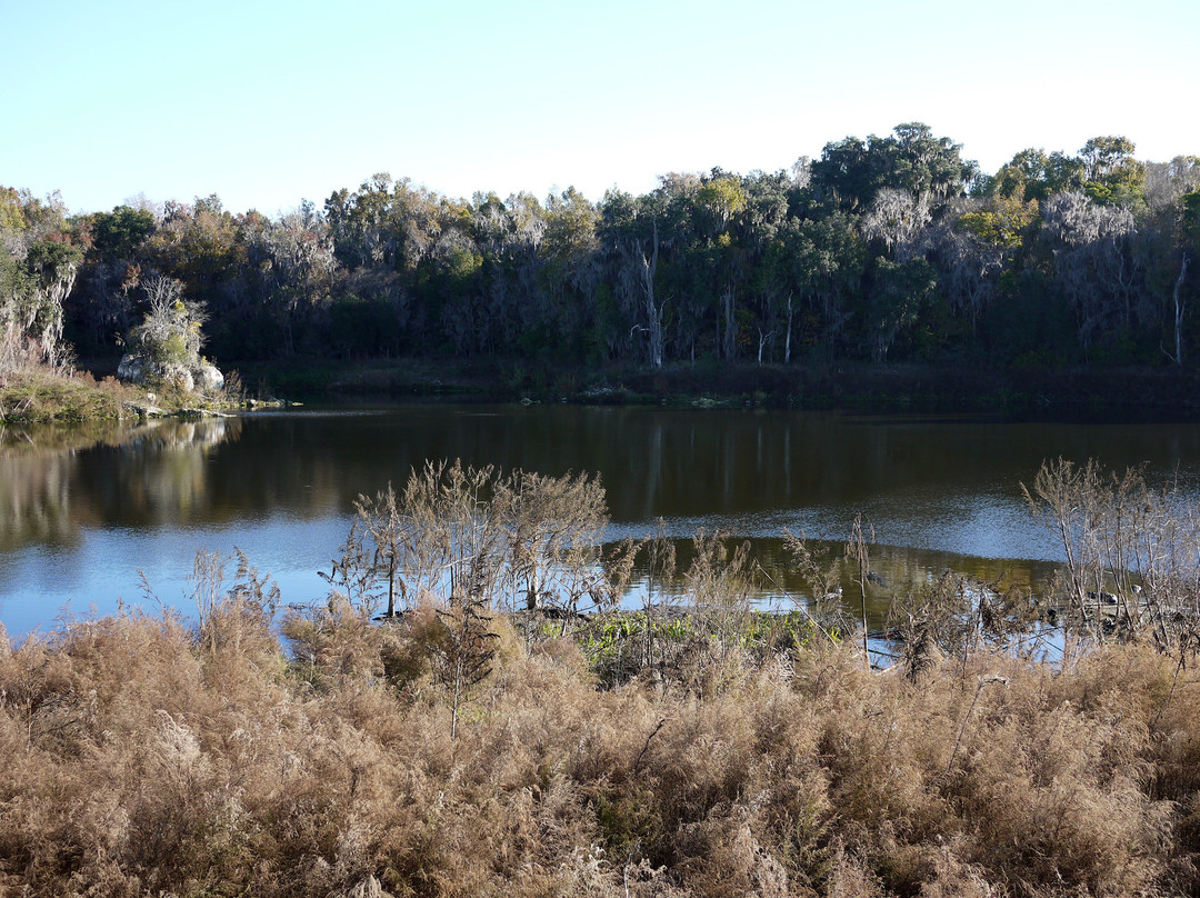 Paynes Prairie Preserve State Park景点图片