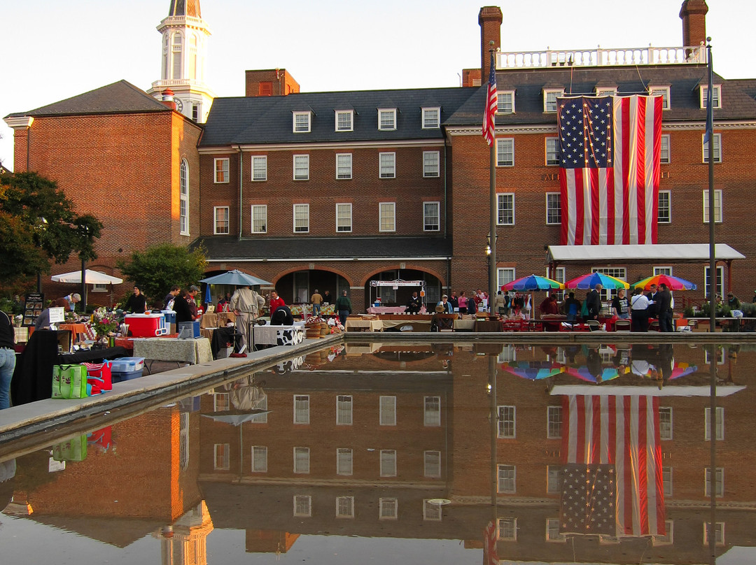 旧城-亚历山德里亚必去景点