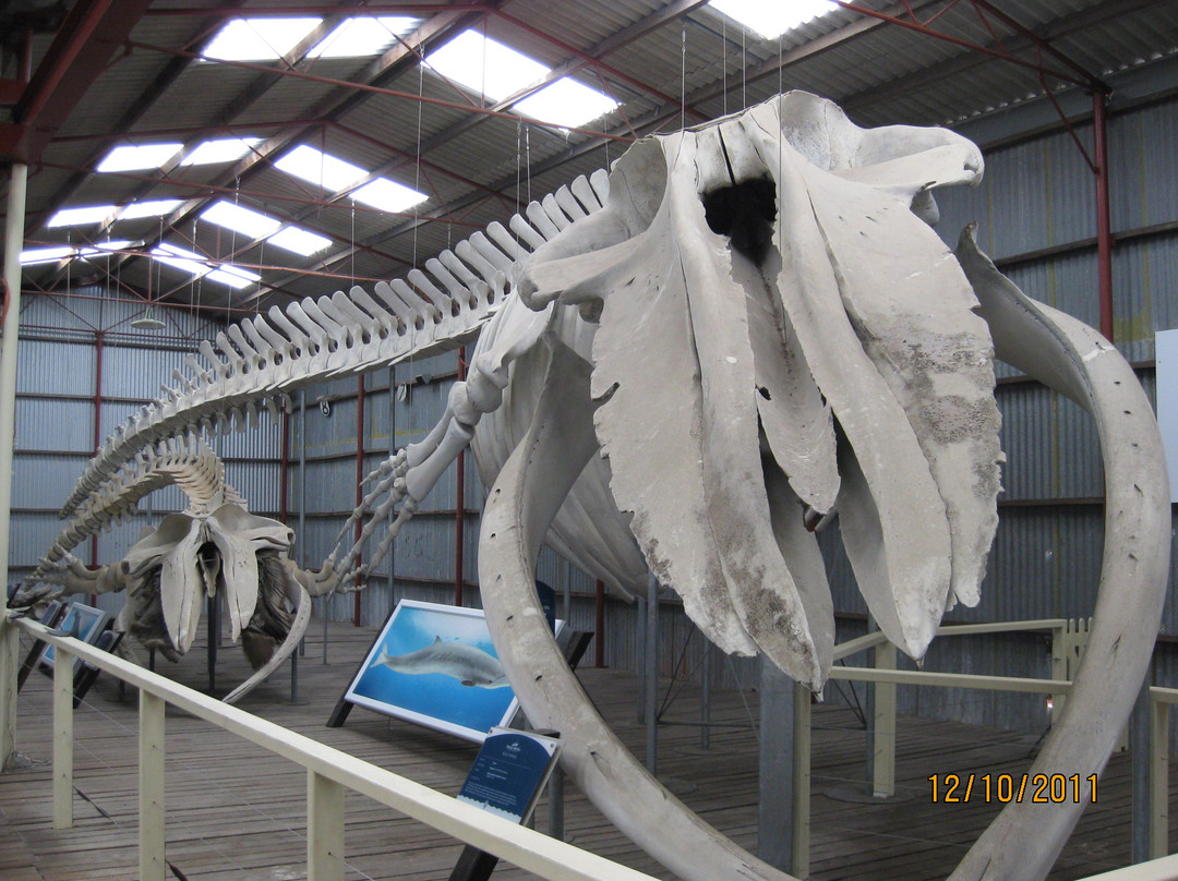 Albany's Historic Whaling Station-Frenchman Bay必去景点