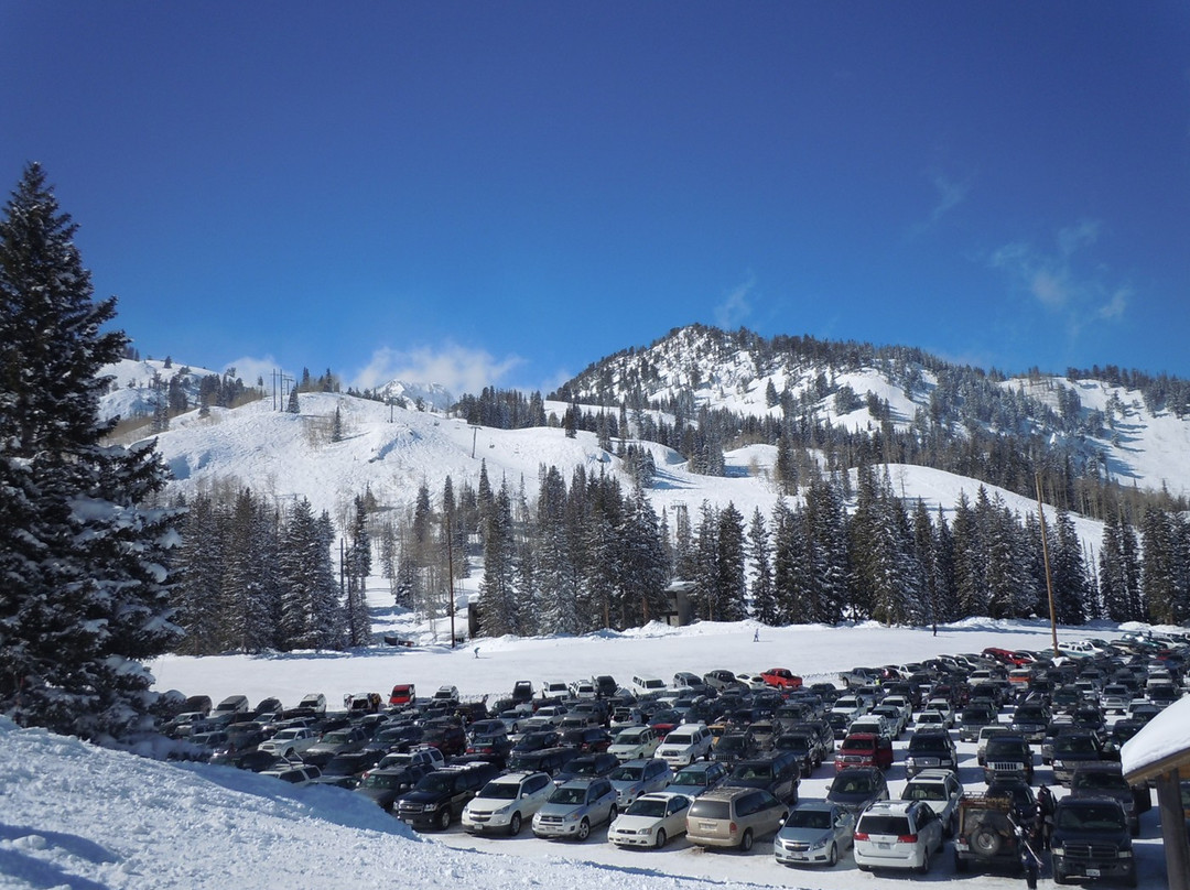 Brighton Resort-布莱敦必去景点