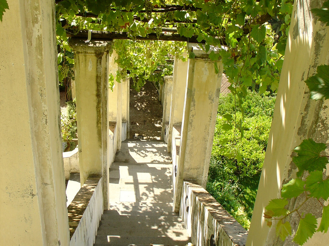 Giardino della Minerva-萨勒诺必去景点