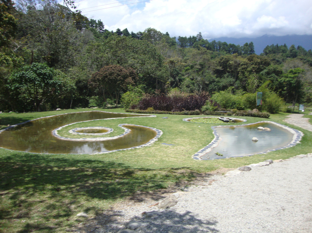 Jardin Botanico de Merida景点图片