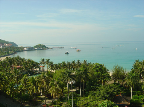 南中国大酒店主图