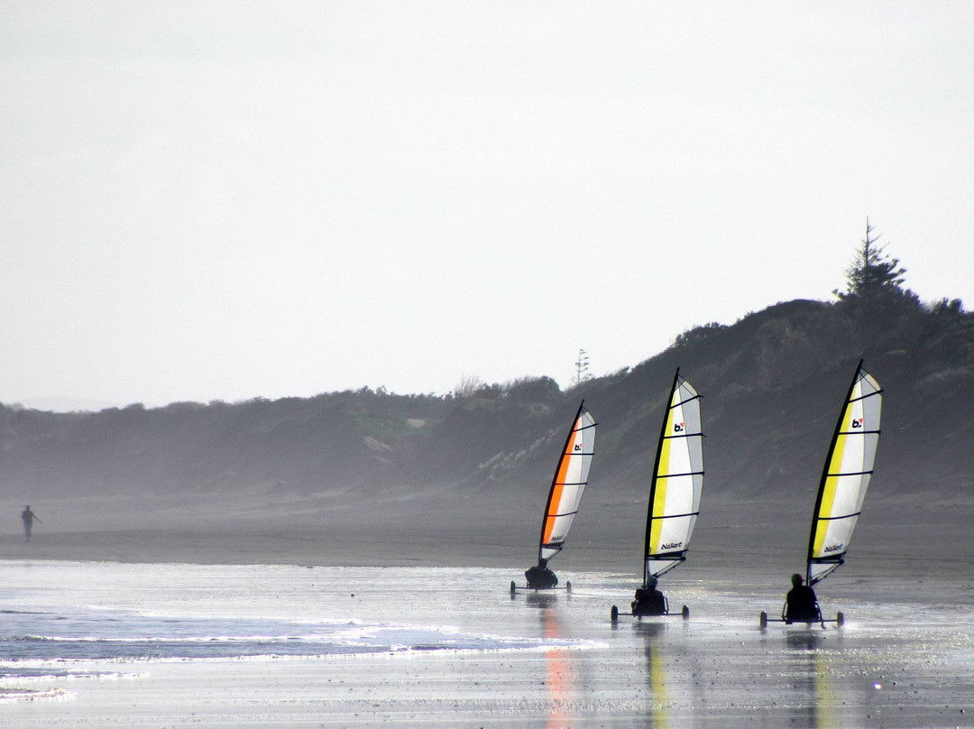 Muriwai Surf School-穆里怀海滩必去景点