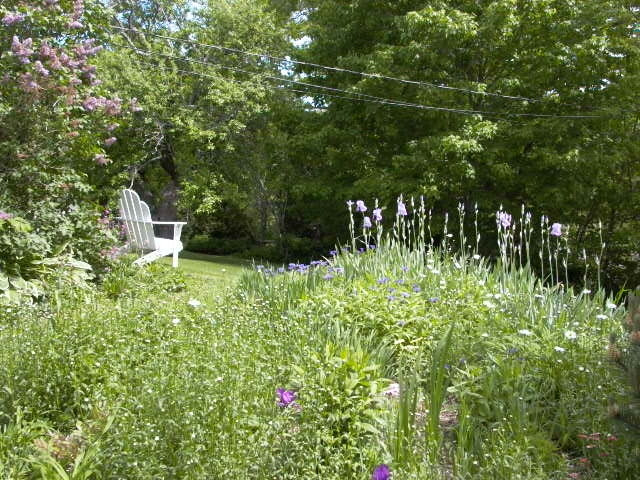 Blue Skye Farm主图