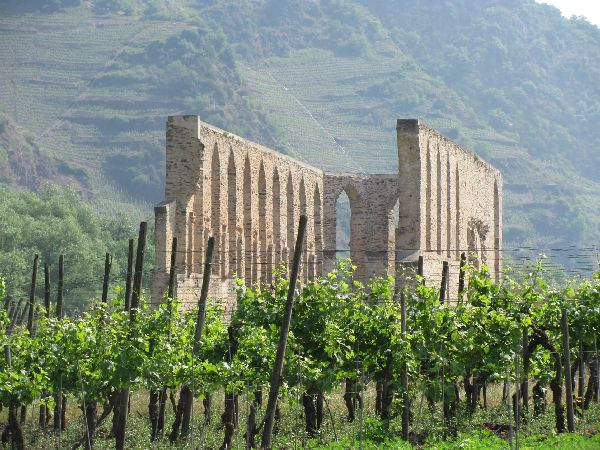 Klosterruine Stuben-Bremm必去景点