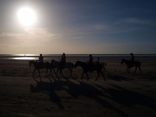 Jericoacoara Stables景点图片