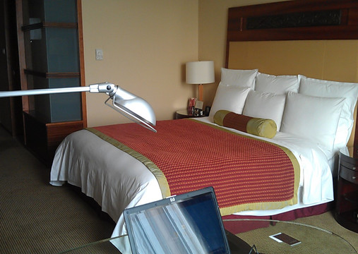 武汉光明万丽酒店主图