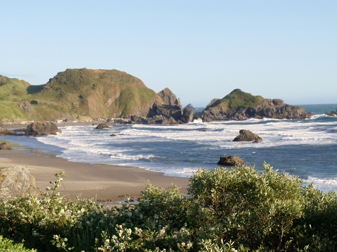 Lone Ranch Beach-布鲁金斯必去景点