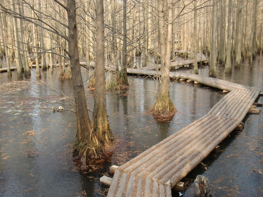 将军山-南京市必去景点