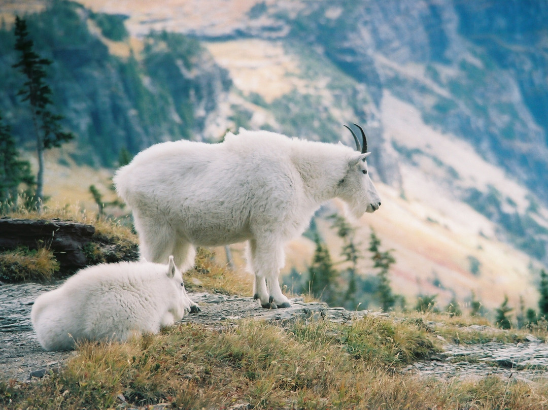 向阳大道-西格拉西尔必去景点