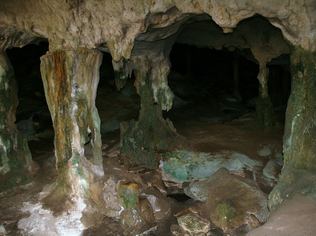 Conch Bar Caves-Conch Bar必去景点