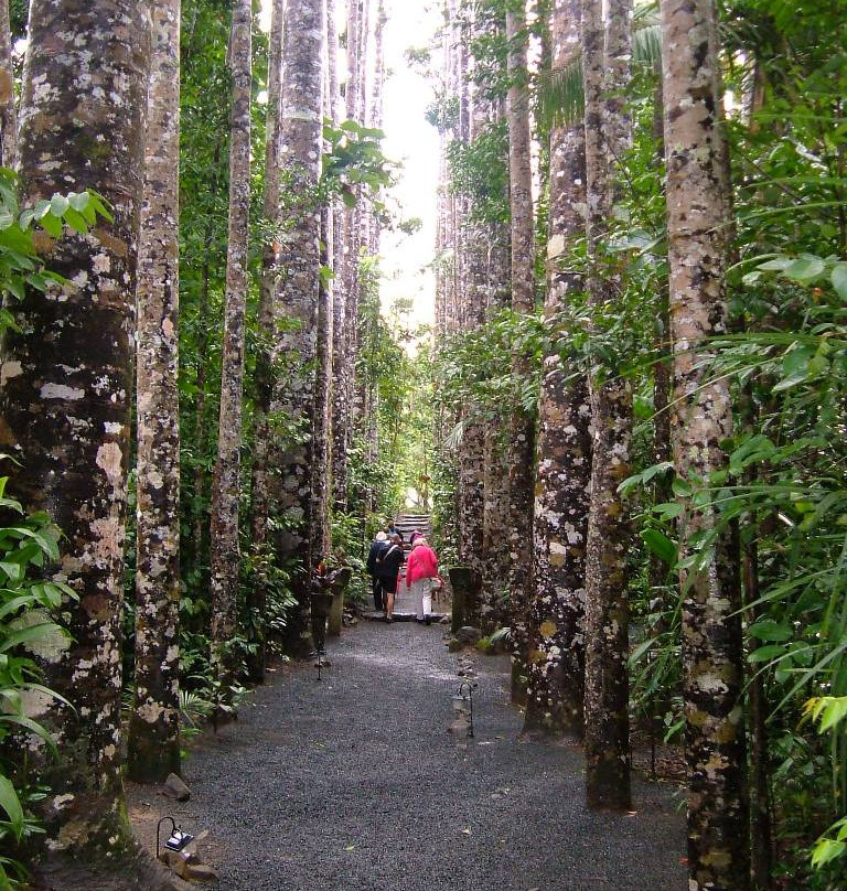 Paronella Park-米娜溪必去景点
