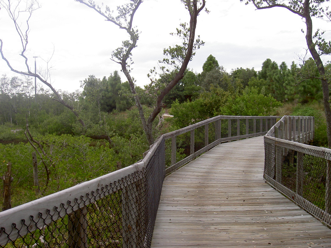 Emerson Point Preserve-Palmetto必去景点